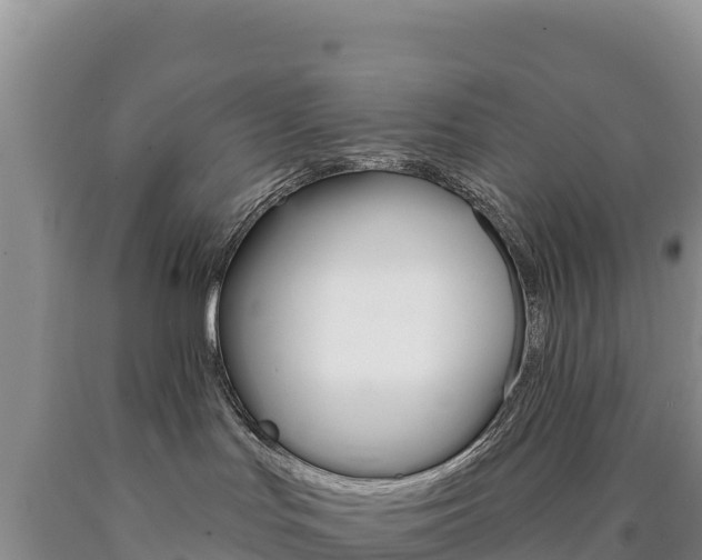 X0000090890047200707271047
