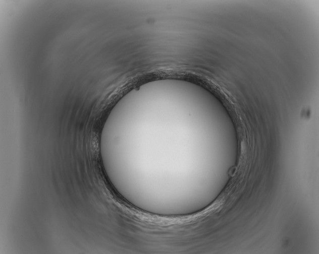X0000090890048200707271047