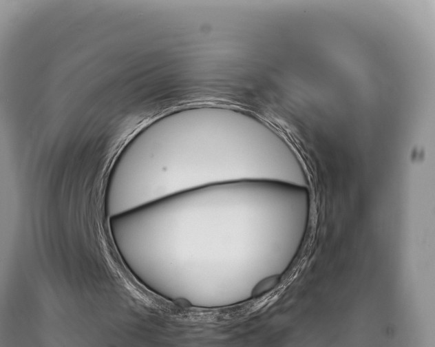 X0000090890049200707271047