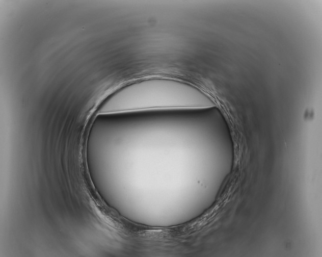X0000090890050200707271047