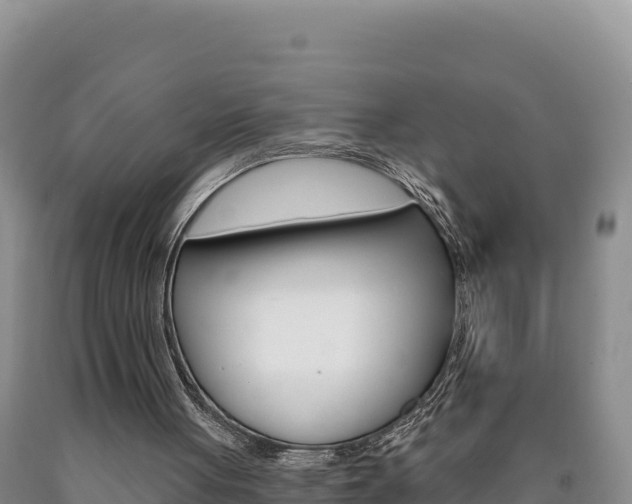 X0000090890051200707271047