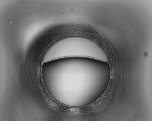 X0000090890052200707271047
