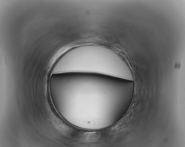X0000090890054200707271047