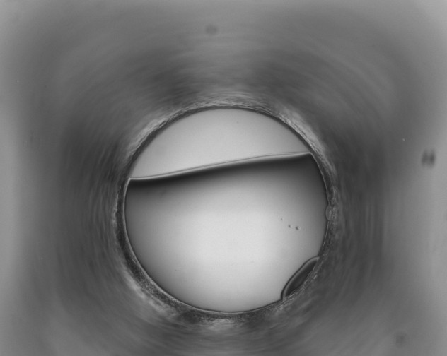X0000090890058200707271047