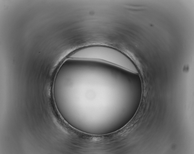 X0000090890060200707271047