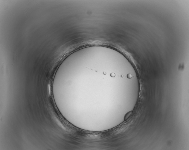 X0000090890061200707271047