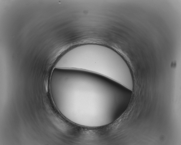 X0000090890062200707271047
