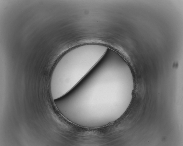 X0000090890063200707271047