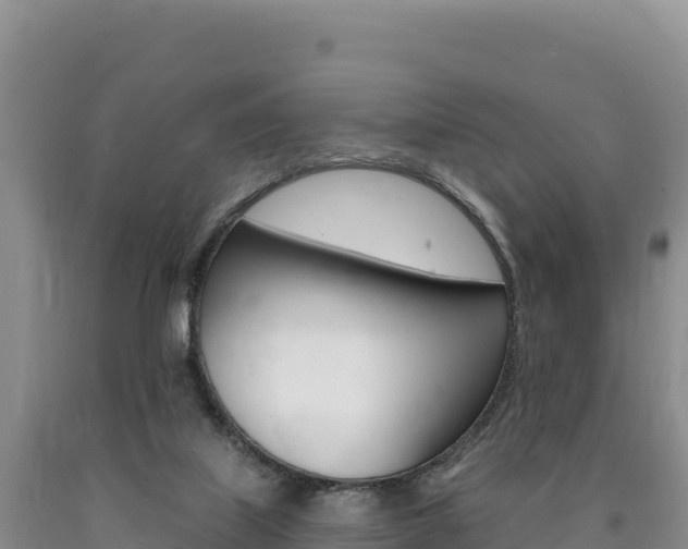X0000090890067200707271047