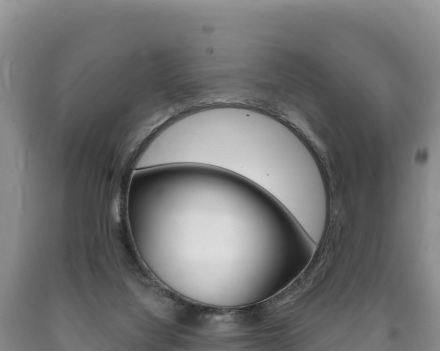 X0000090890068200707271047