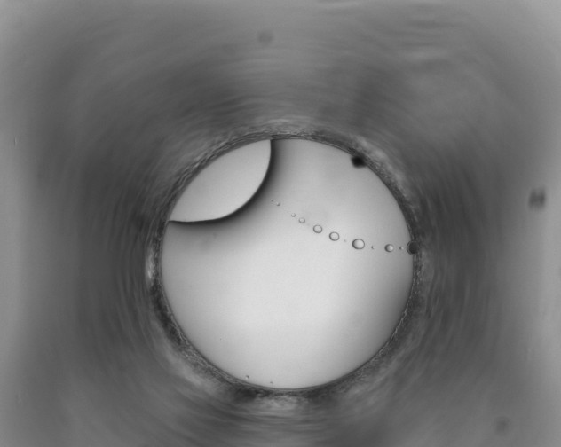 X0000090890069200707271047