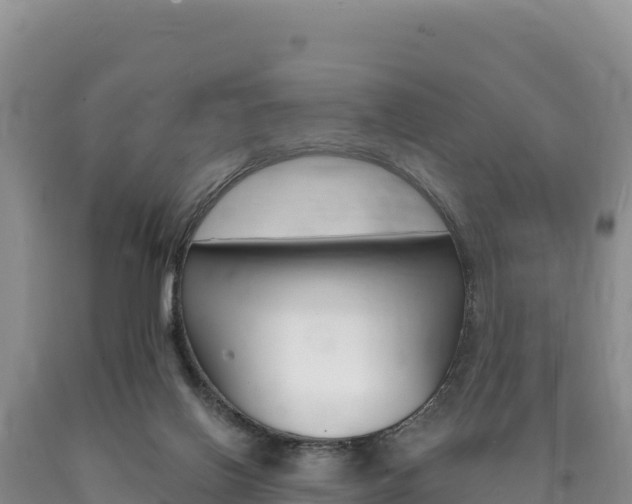 X0000090890070200707271047