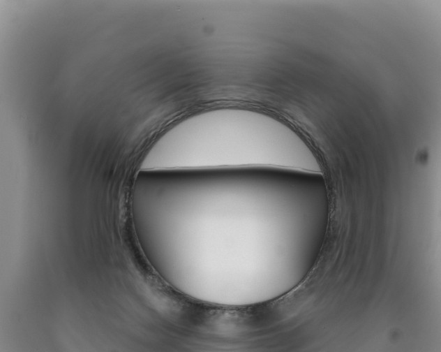 X0000090890074200707271047