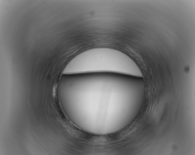 X0000090890075200707271047