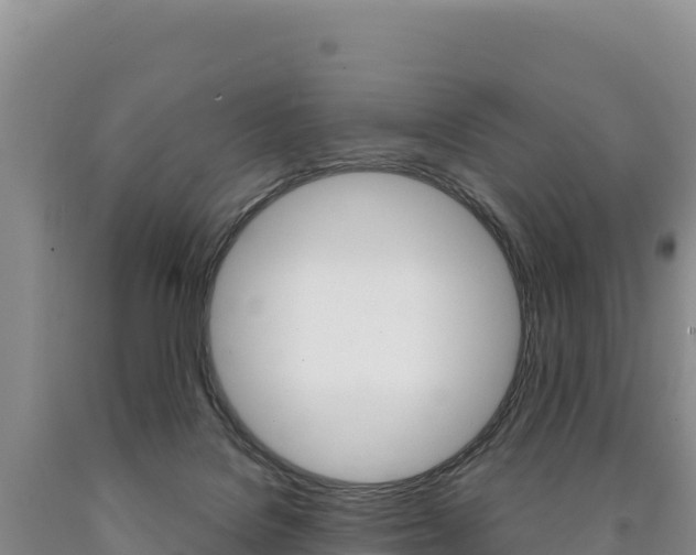 X0000090890076200707271047
