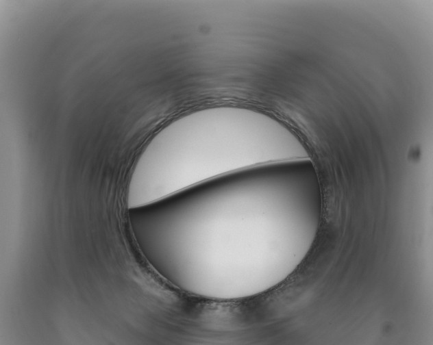 X0000090890077200707271047