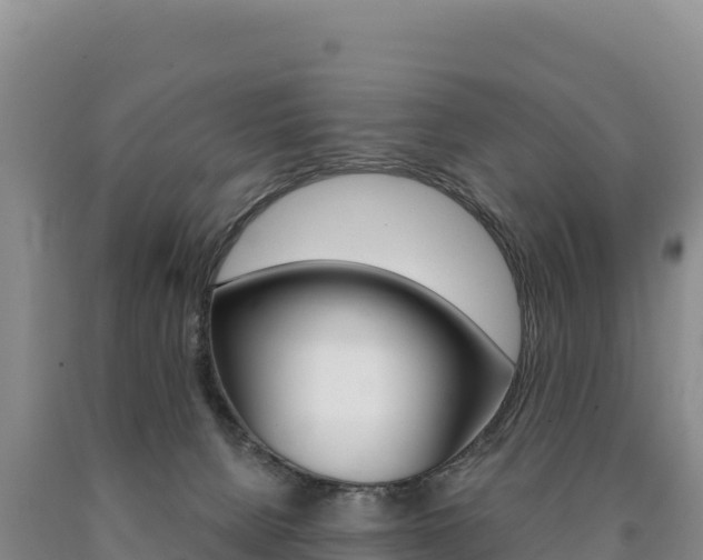 X0000090890080200707271047