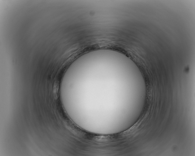 X0000090890082200707271047