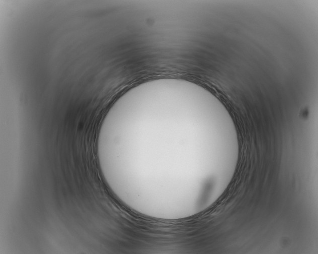 X0000090890084200707271047