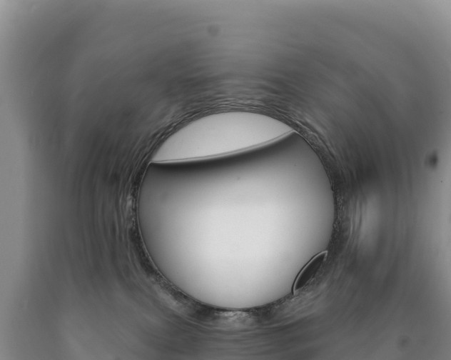 X0000090890087200707271047