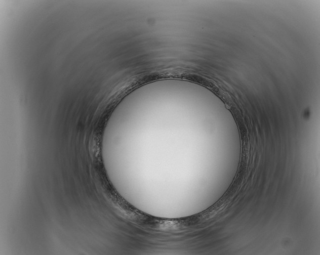 X0000090890091200707271047