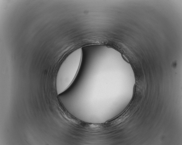 X0000090890095200707271047