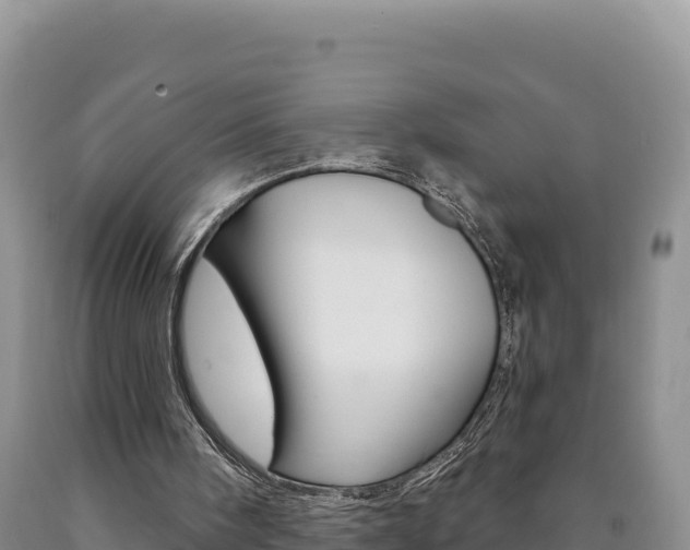 X0000090890098200707271047