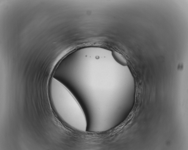 X0000090890100200707271047