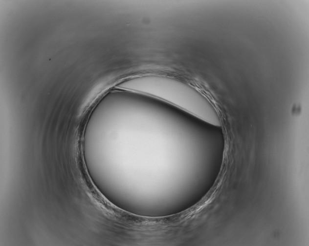 X0000090890101200707271047