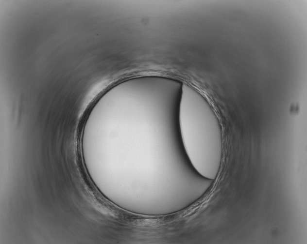 X0000090890102200707271047
