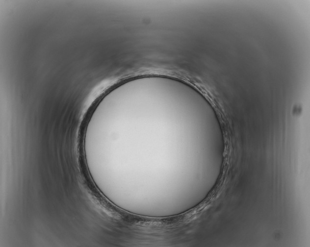 X0000090890104200707271047