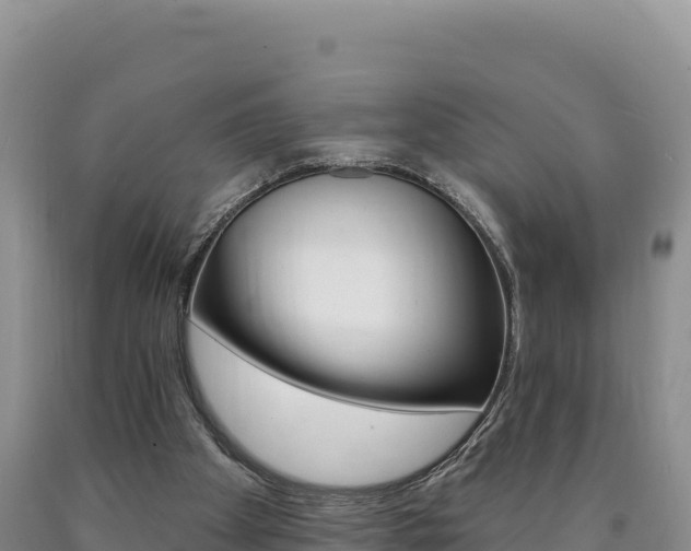 X0000090890105200707271047
