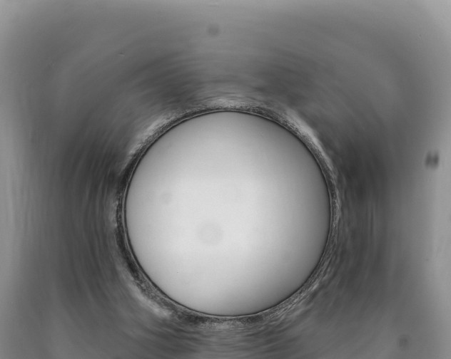 X0000090890106200707271047