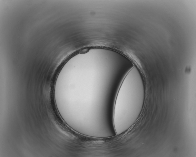 X0000090890108200707271047