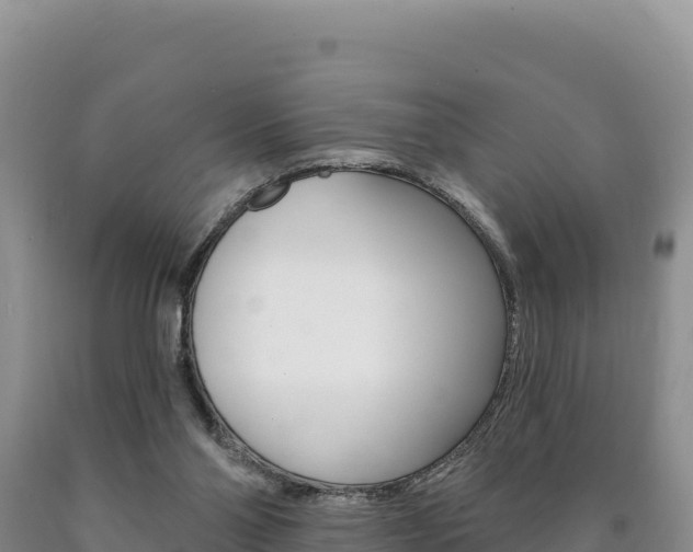 X0000090890110200707271047