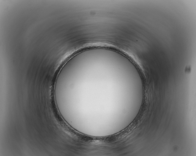 X0000090890111200707271047