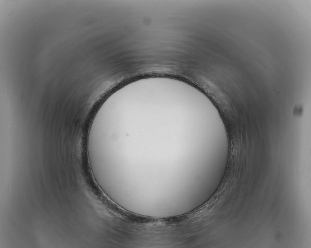 X0000090890112200707271047