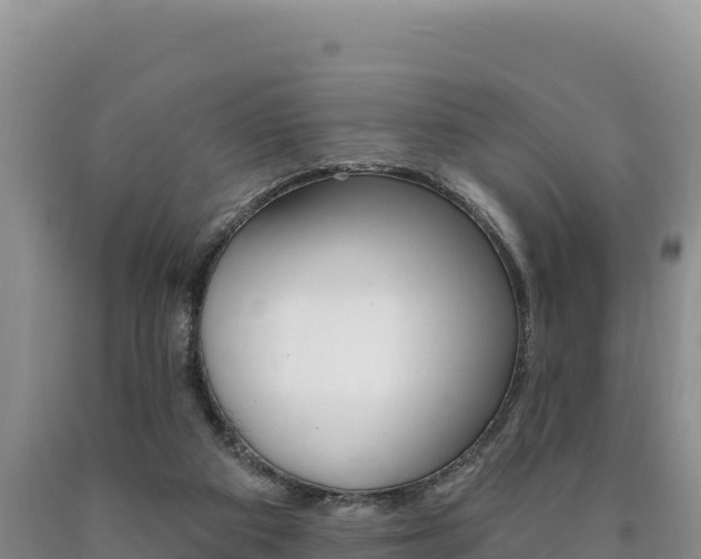 X0000090890113200707271047