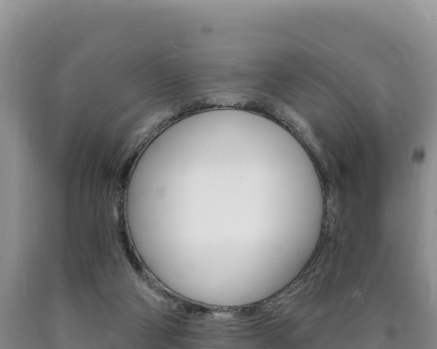 X0000090890114200707271047