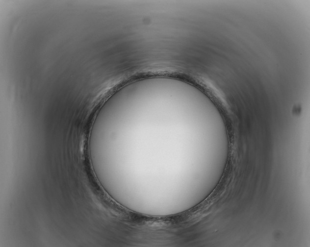 X0000090890115200707271047
