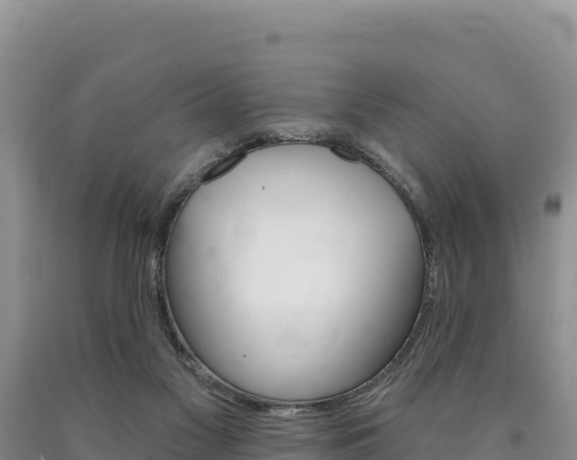 X0000090890117200707271047