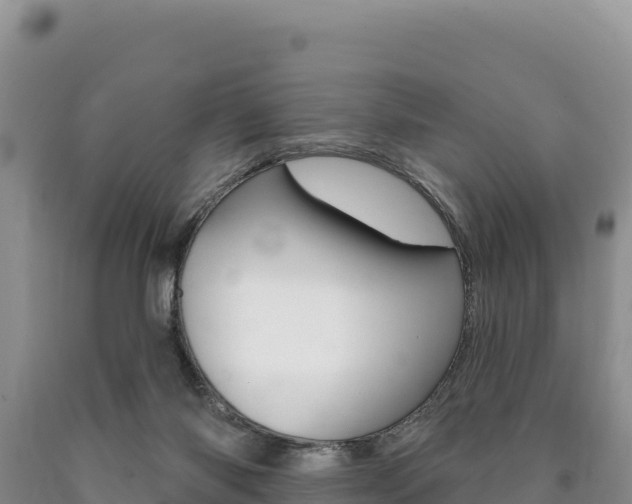 X0000090890118200707271047