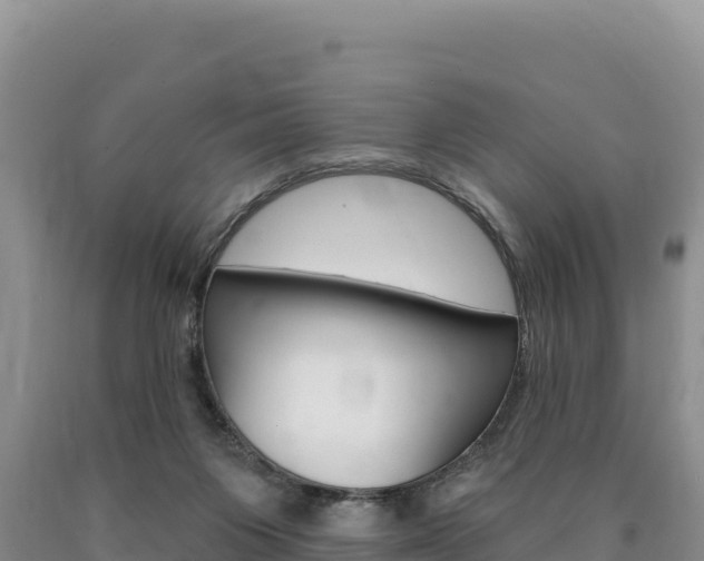 X0000090890119200707271047