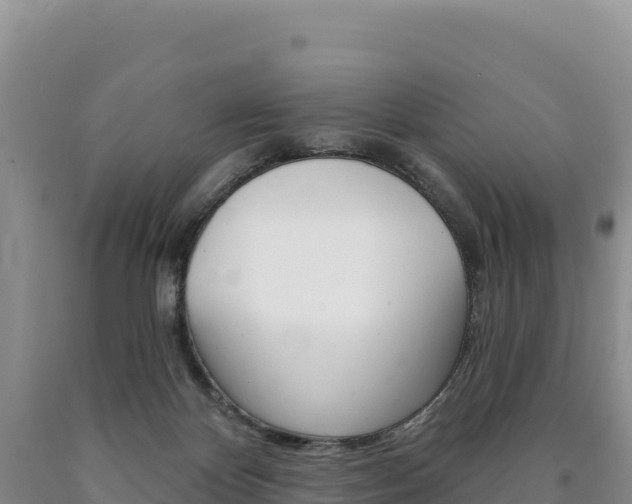 X0000090890124200707271047