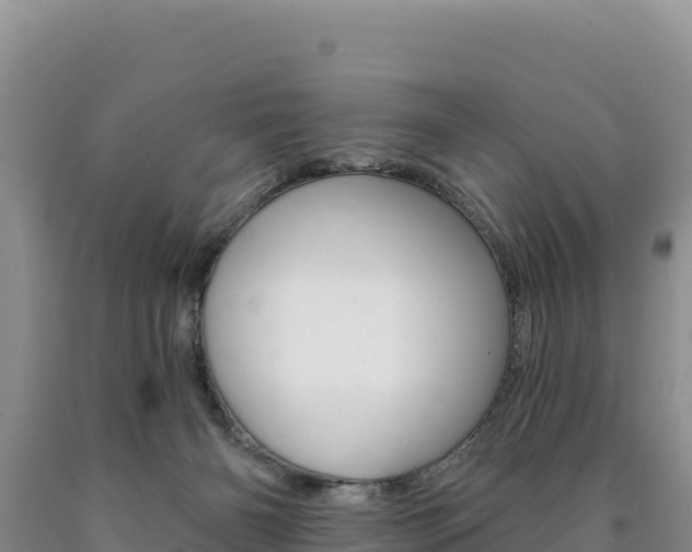 X0000090890126200707271046