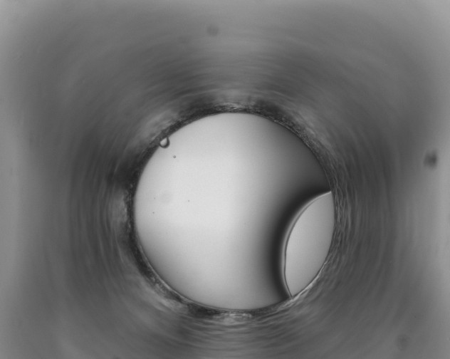 X0000090890128200707271046
