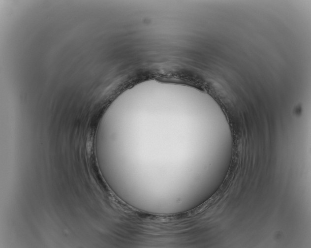 X0000090890129200707271046