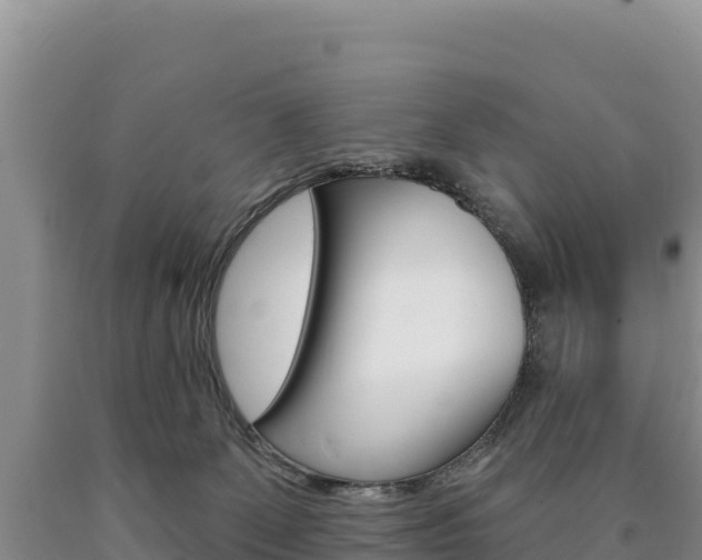X0000090890131200707271046