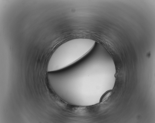 X0000090890132200707271046