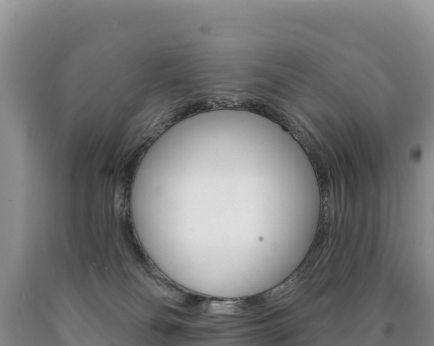 X0000090890134200707271046